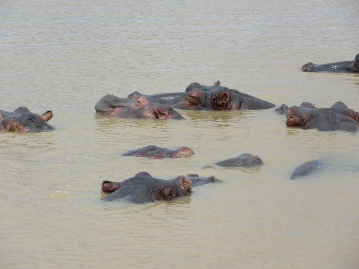 شقة The Bridge 54 Saint Lucia Estuary المظهر الخارجي الصورة